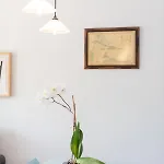 Eihera - Baskeyrentals *