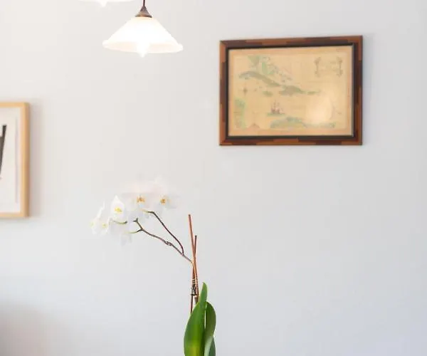 Eihera - Baskeyrentals *